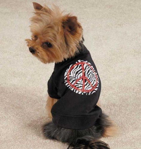 Shirt maglietta cane zack - maglietta,