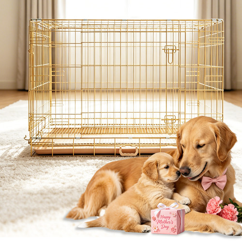 Homey pet gabbia - pet,